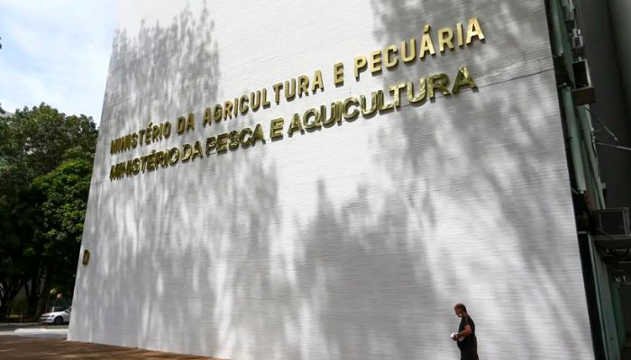 © Marcelo Camargo/Agência Brasil Sete casos de doenças respiratórias em aves são investigados no país